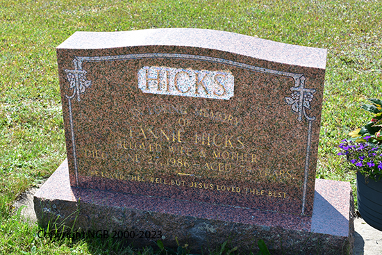 Fannie Hicks