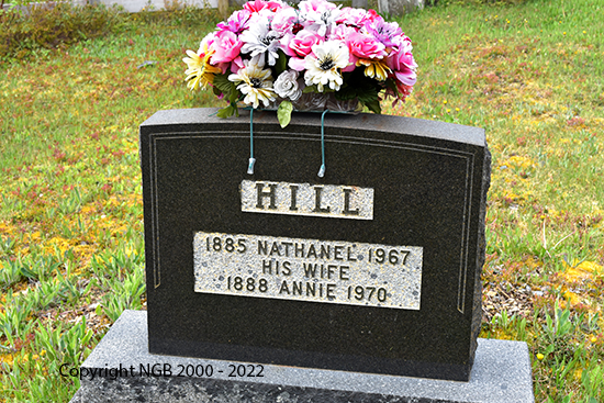 Nathaniel & Annie Hill