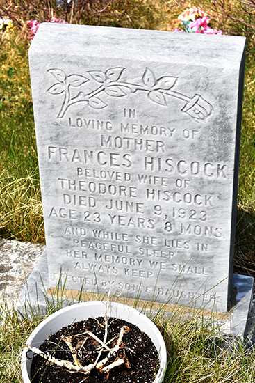 Frances Hiscock