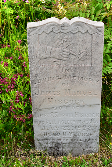 James Manuel Hiscock