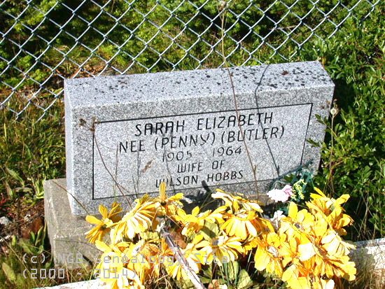 Sarah (Nee Penny) -  (Butler) Hobbs