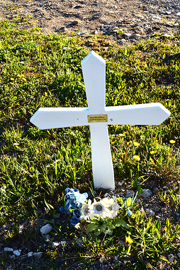 Kerry Dale Hoddinott