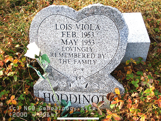 Lois Viola Hoddinott
