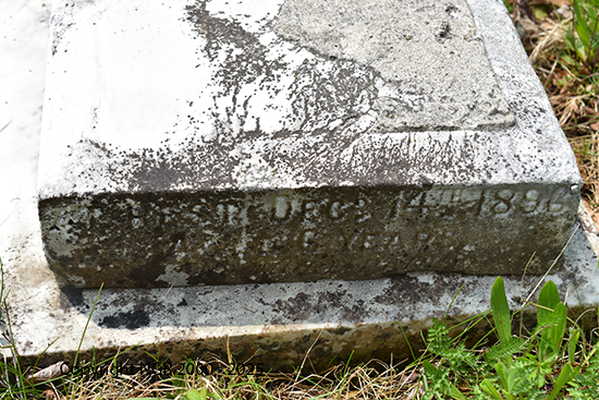 Gertrude Kate Hollands