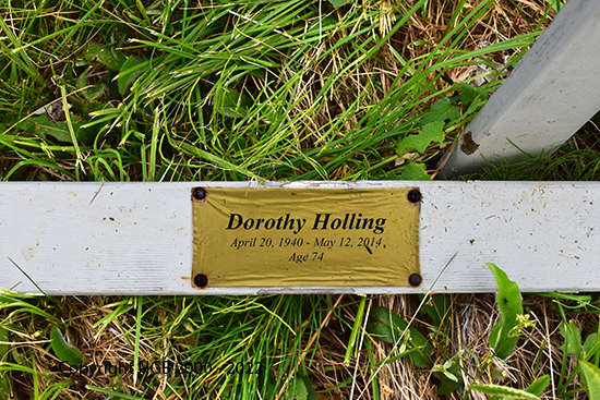 Dorothy Hollings