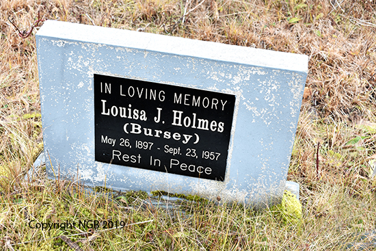 Louisa J. Holmes