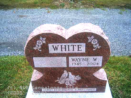 Wayne White