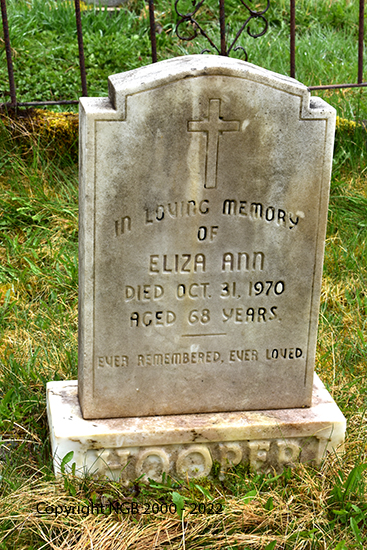 Eliza Ann Hooper