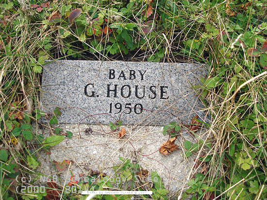 G. Baby House