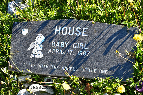 Baby Girl House