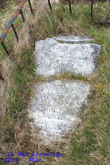 David, Michael & William Howlett