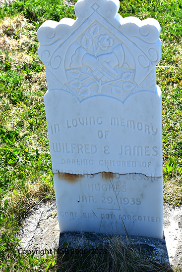 Wilfed & James Hughes