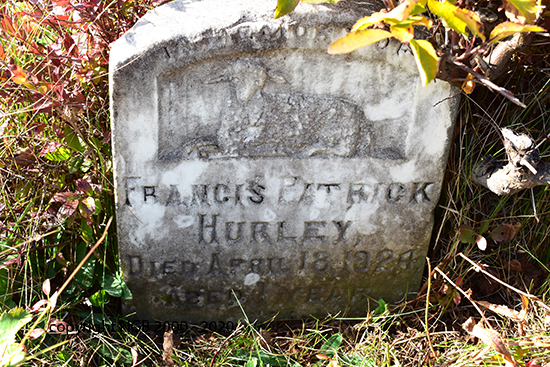 Francis Patrick Hurley