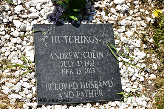 Andrew Colin Hutchings