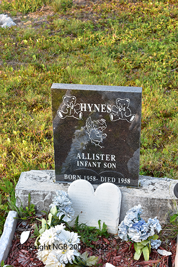 Allister Hynes