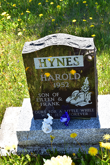 Harold Hynes