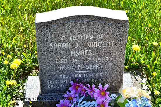 Sarah J. Vincent Hynes