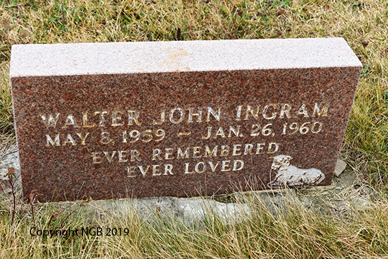 Walter John Ingram