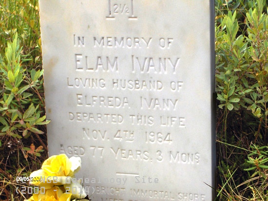 Elam Ivany
