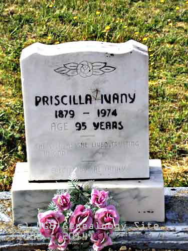 Priscilla IVANY