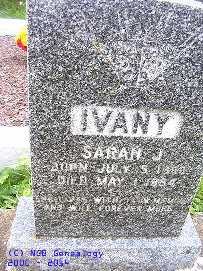Sarah J. Ivany