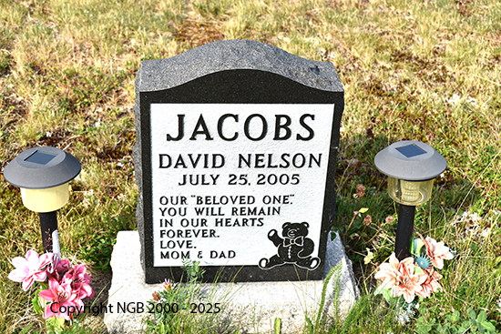 David Nelson Jacobs