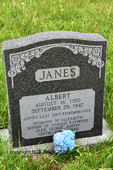 Albert Janes