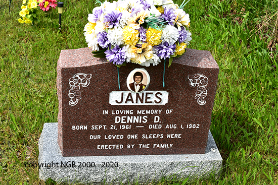 Dennis D. Janes