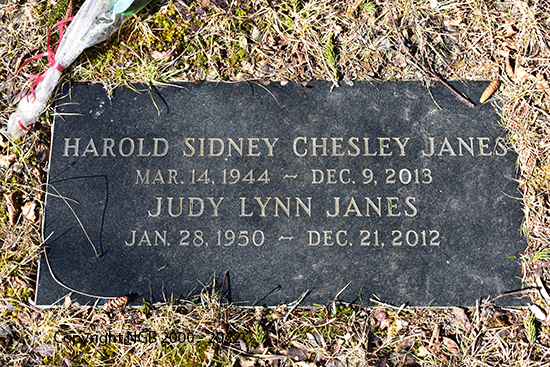 Harold Sidney Chesley Janes