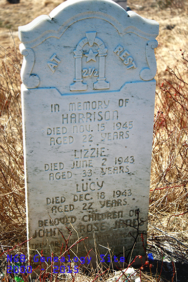 Harrison, Lizzie and Lucy Janes