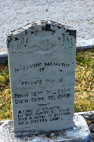 Hedley James Janes