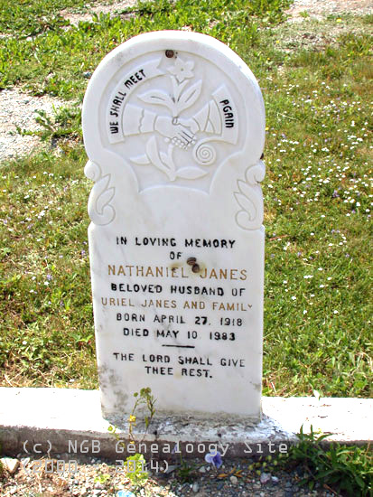 Nathaniel Janes