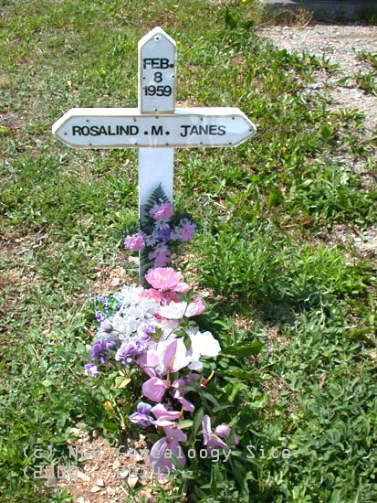 Rosalind M. Janes