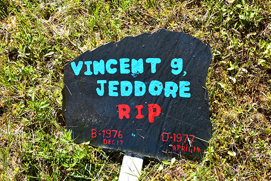 Vincent G. Jedore