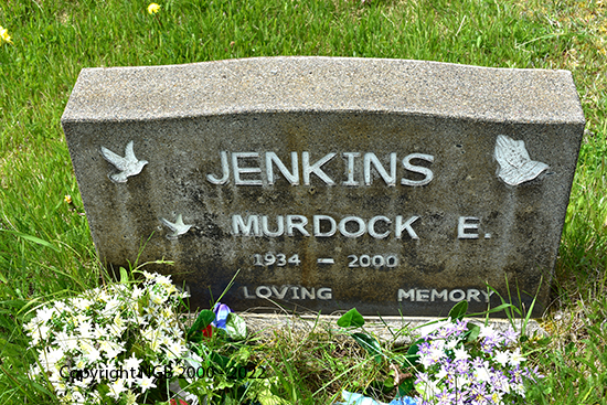 Murdock E. Jenkins