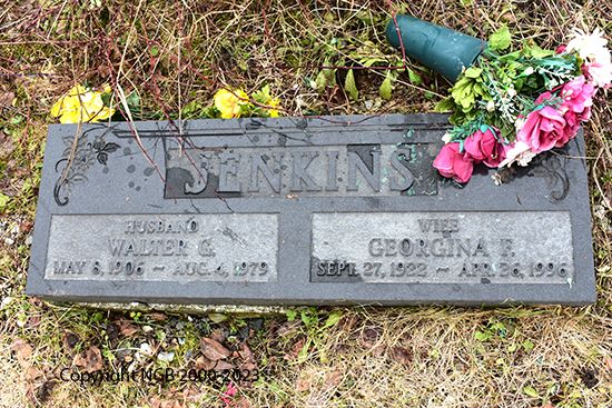 Walter G. & Georgina E. Jenkins