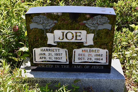 Harriett & Mildred Joe