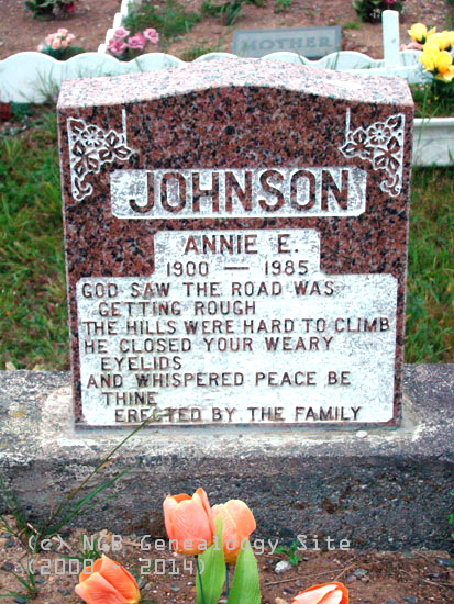 Annie E. Johnson