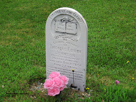 Thomas Edwin Johnson
