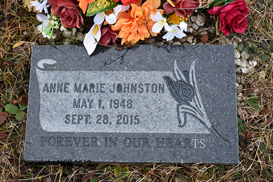 Anne Marie Johnston