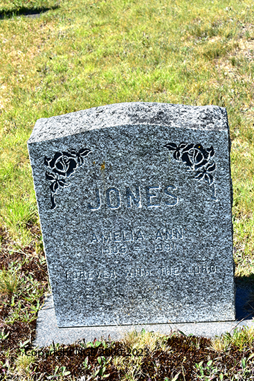 Amelia Ann Jones  