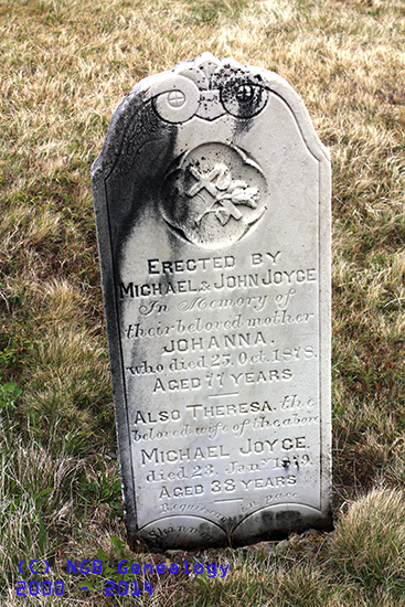 Johanna, Theresa & Michael Joyce