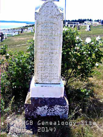 William 
	  KAVANAGH Children