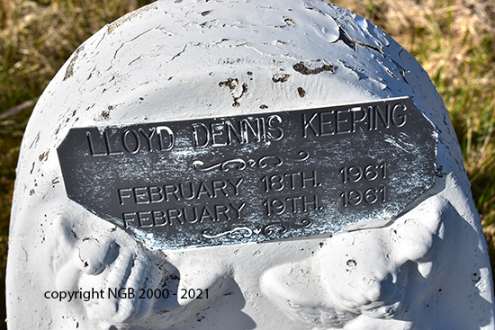 Lloyd Dennis Keeping