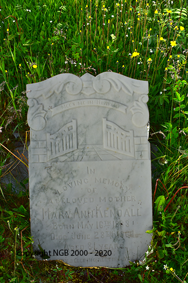 Mary Ann Kendall