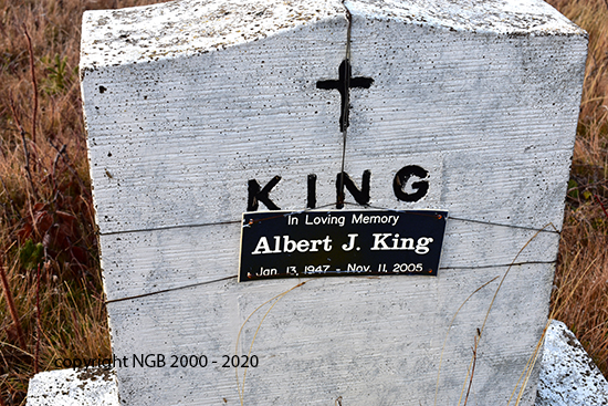 Albert J. King