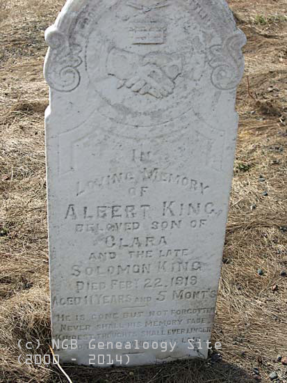  Albert King
