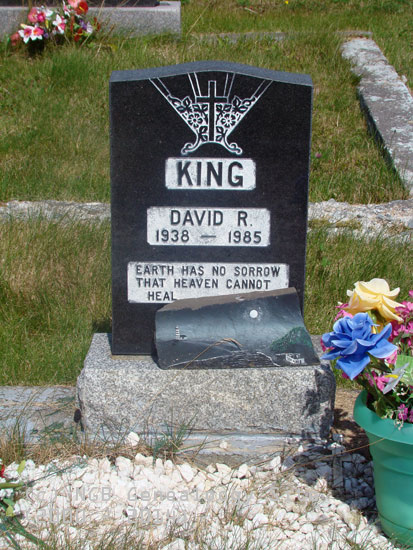 David R. King