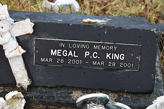 Megal P. C. King