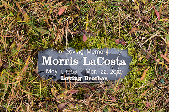 Morris LaCosta